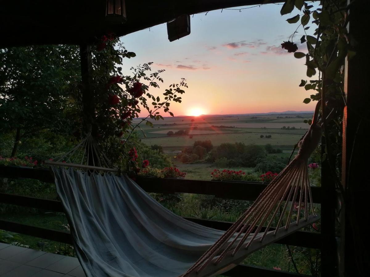 Baranja Black Hill'S Gajic Exteriér fotografie