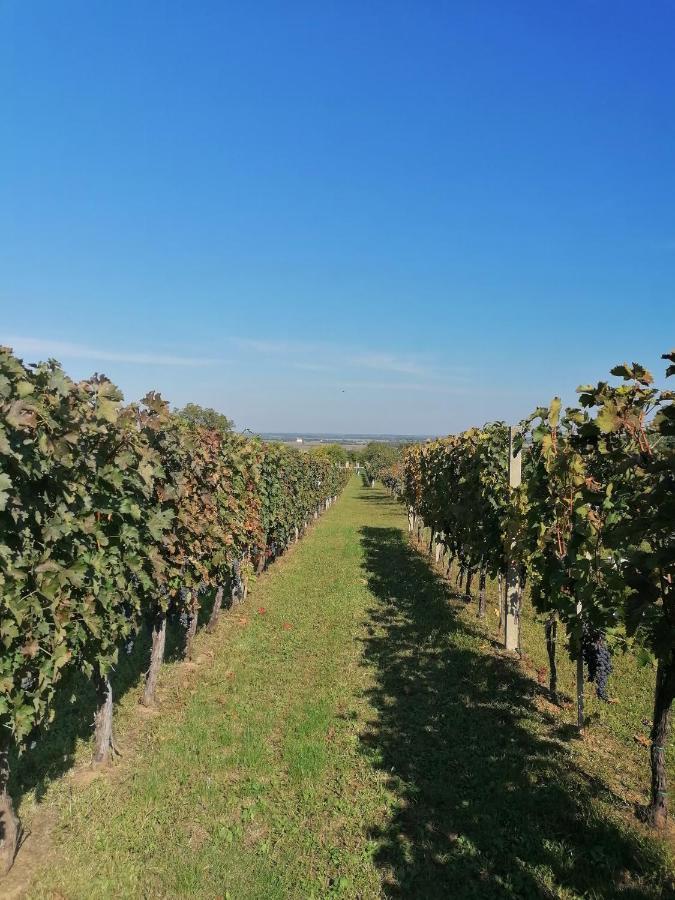 Baranja Black Hill'S Gajic Exteriér fotografie