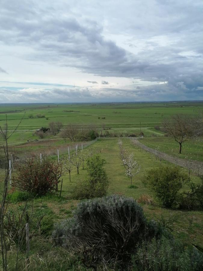 Baranja Black Hill'S Gajic Exteriér fotografie
